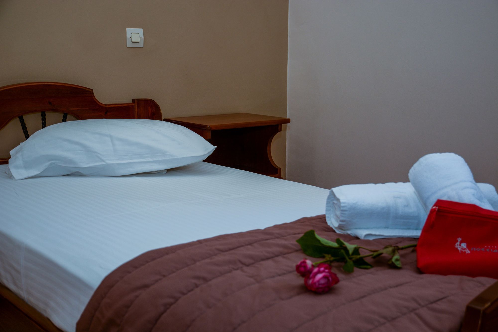 Poseidonio Hotel Tínos المظهر الخارجي الصورة